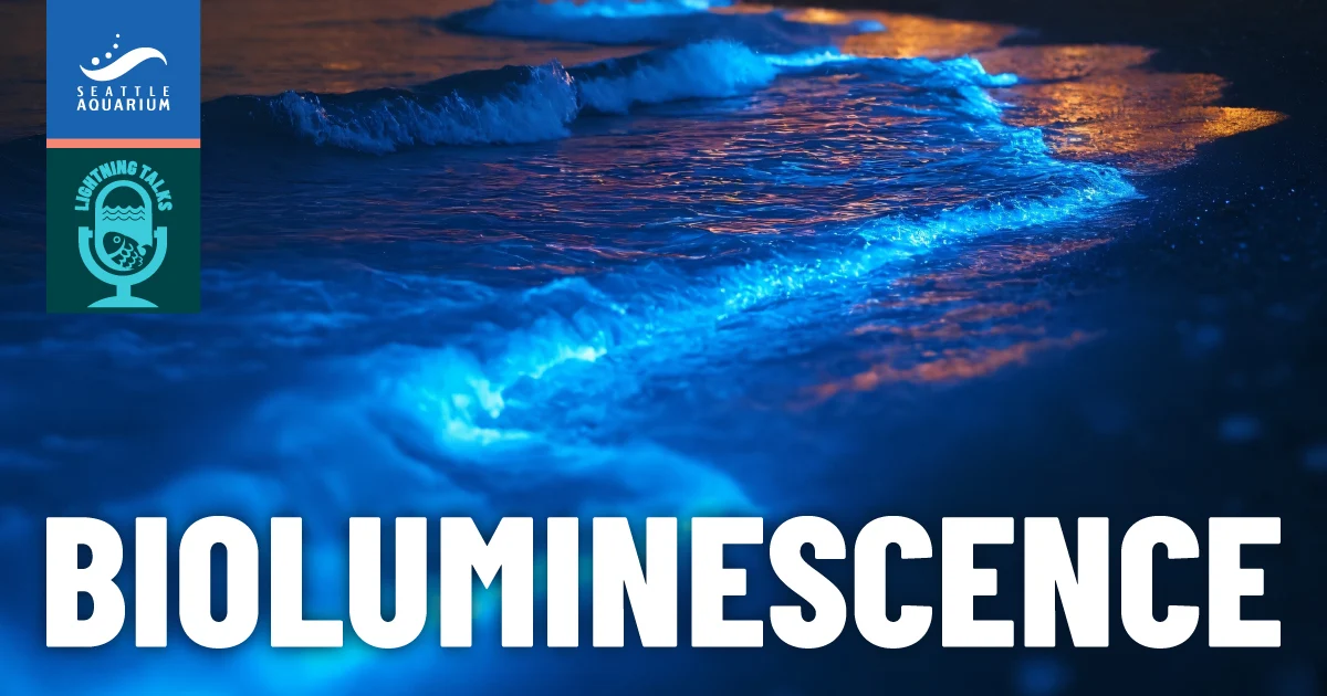 Seattle Aquarium Lightning Talks Bioluminescence. Photo features bioluminescent creates in an ocean wave at night.