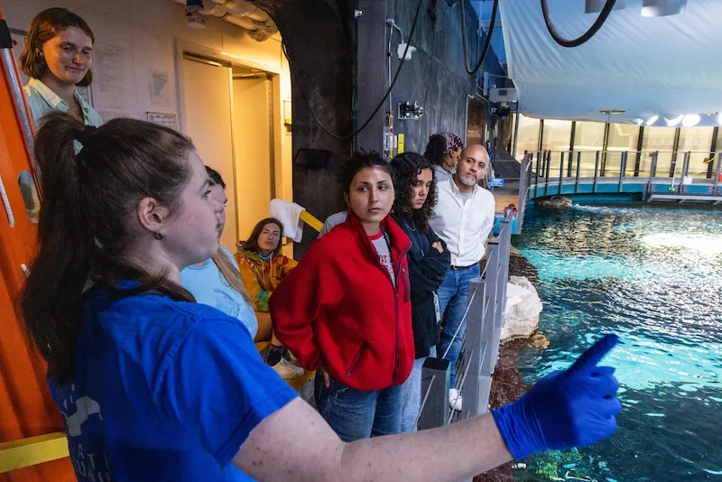 A group of guests attending a behind the scenes tour of the Seattle Aquarium's large tropical Reef habitat listens to a Seattle Aquarium staff member who is leading the tour.