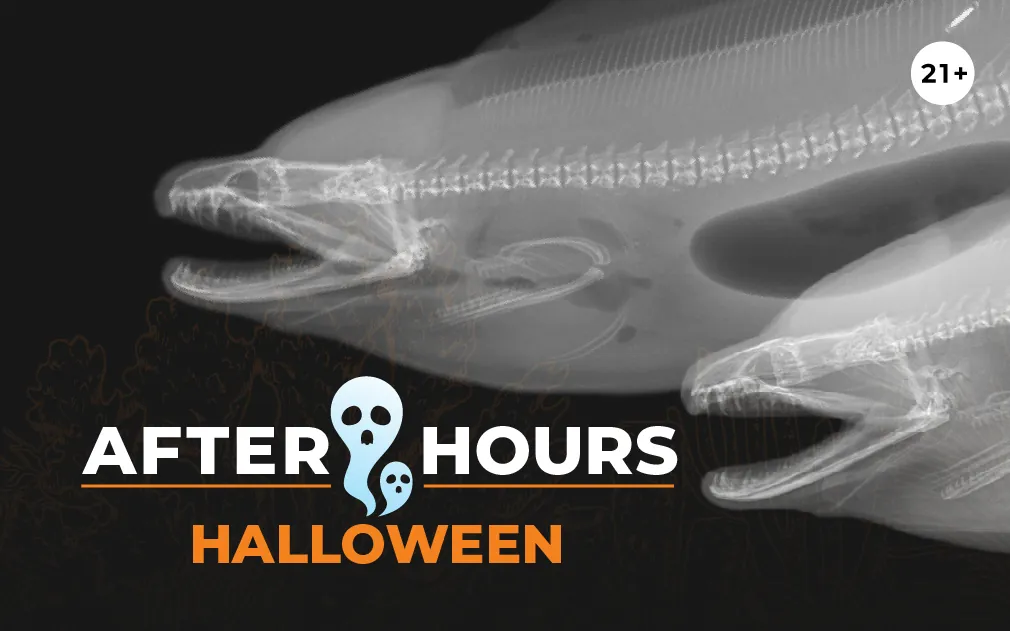 After Hours Premier: Halloween event image