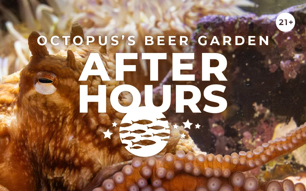 After Hours: Octopus’s Beer Garden event image