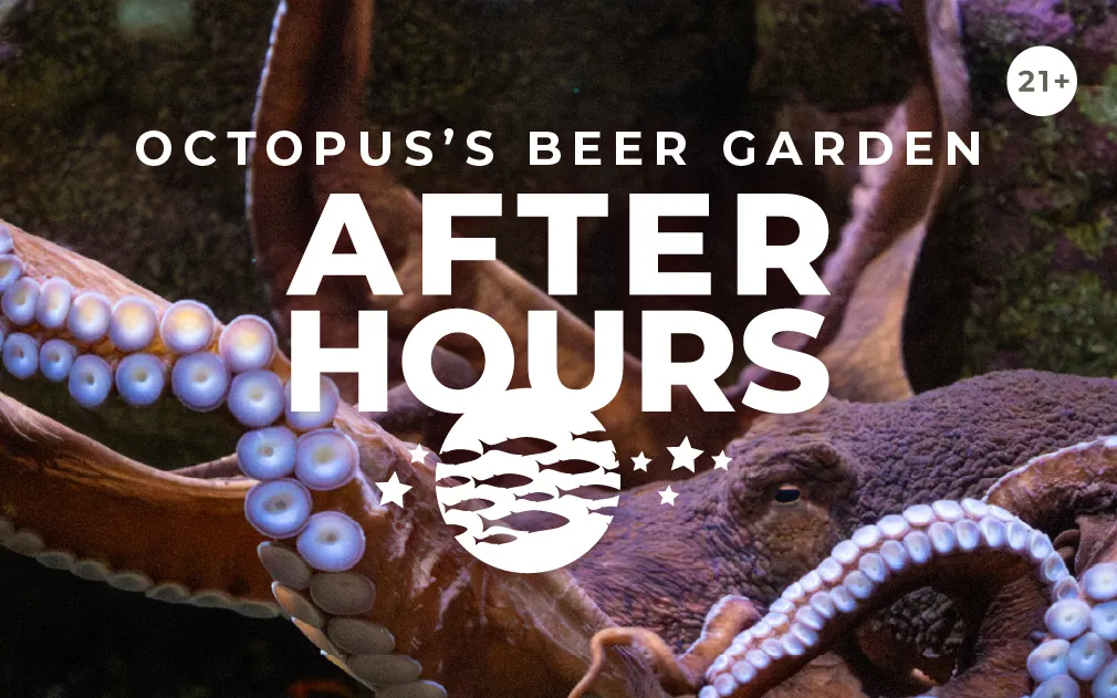 After Hours: Octopus’s Beer Garden event image