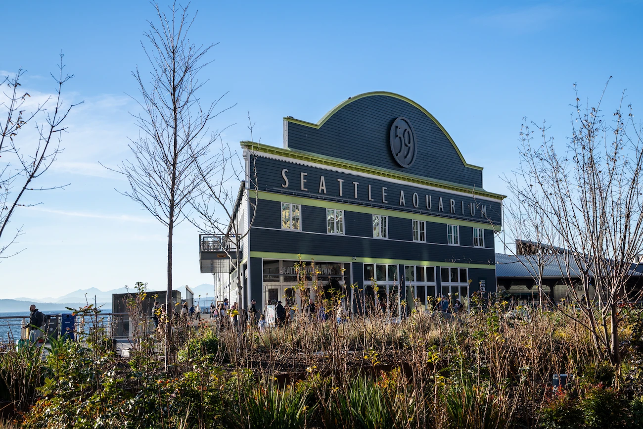 The front of Seattle Aquarium's Pier 59 building through fall foliage that give a spooky feeling.
