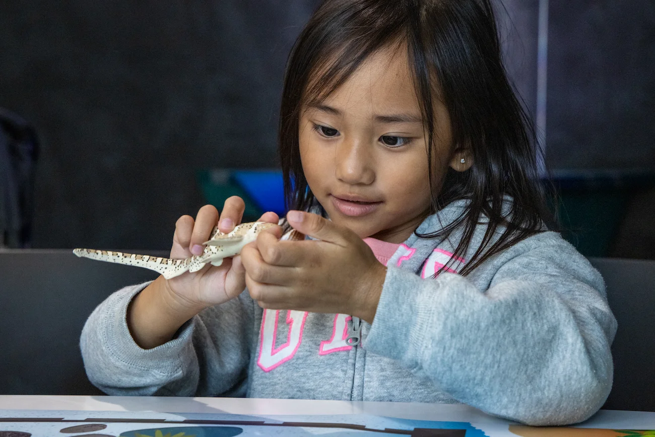 A young girl looks closely at a toy leopard shark she is holding.