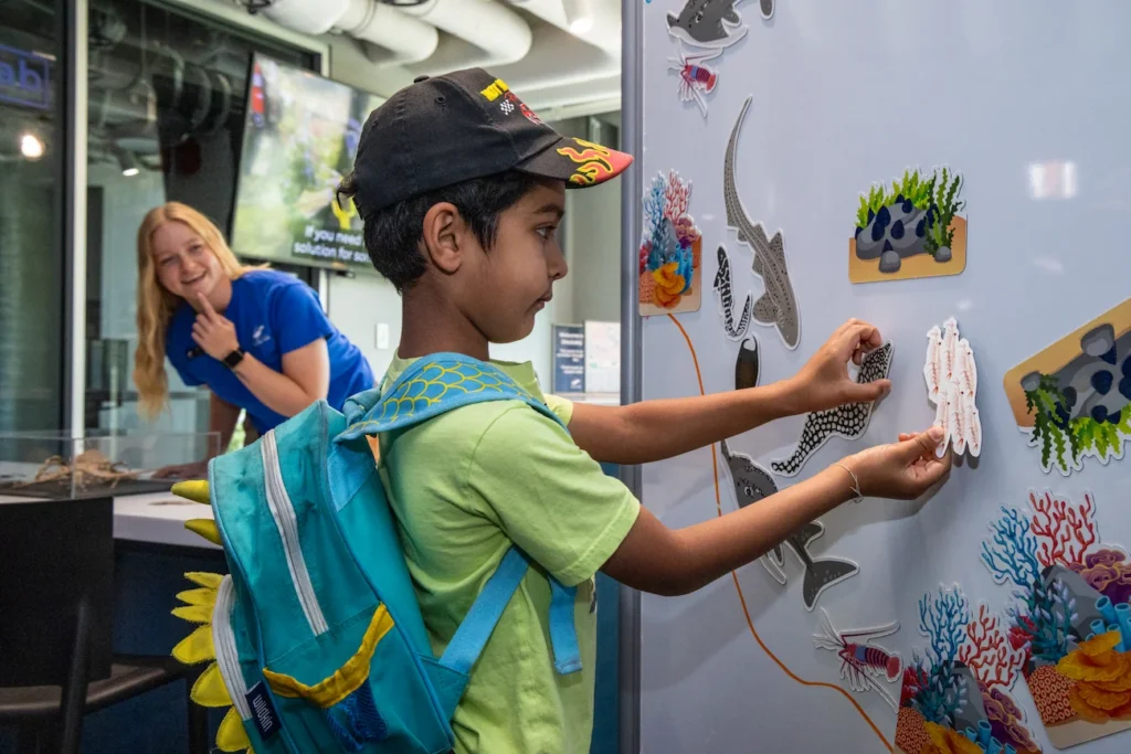 A young boy participates in a matching game at the Seattle Aquarium's Discovery Lab while an Aquarium staff member watches.