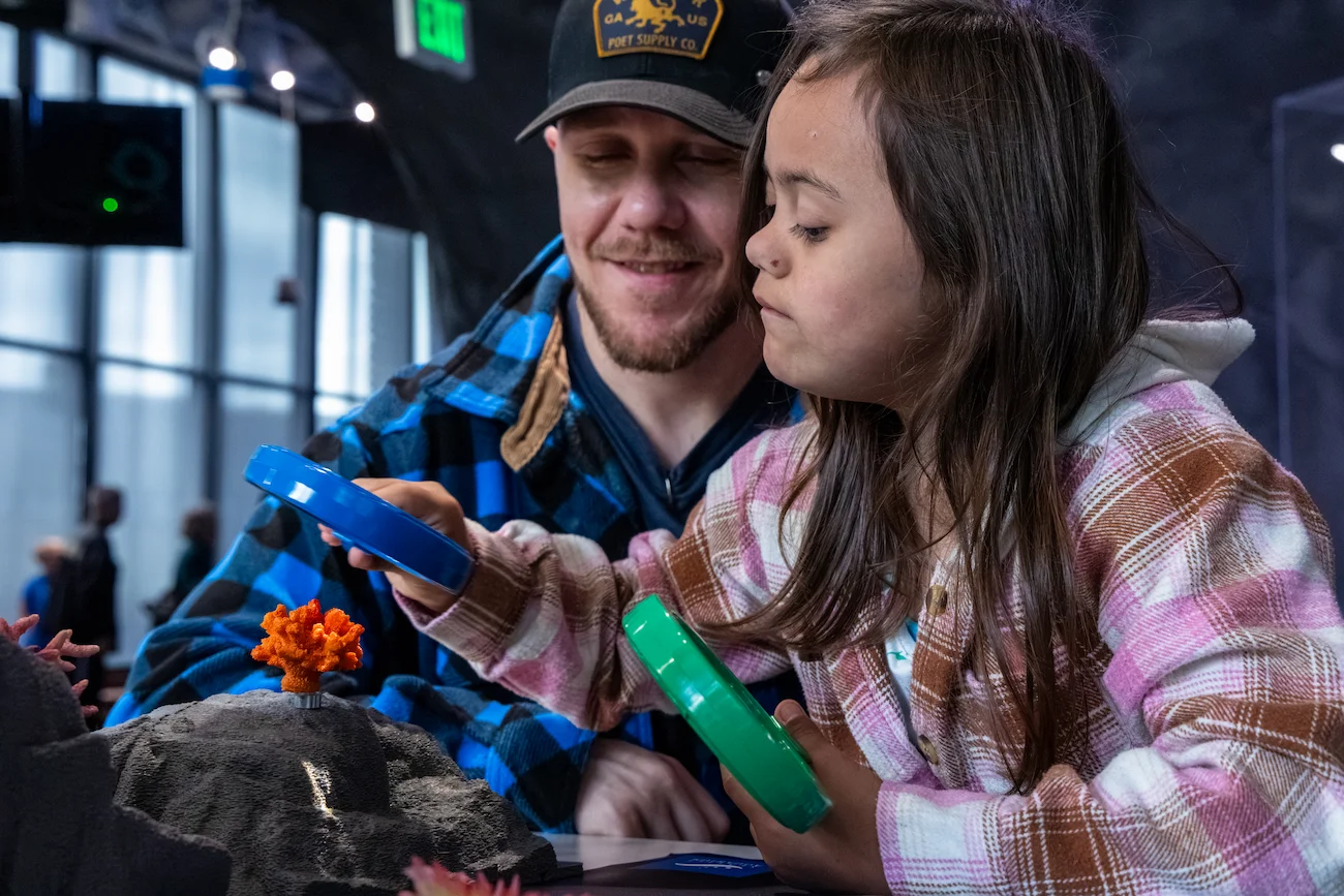 An adult and child look at model coral using magnifying glasses at the Seattle Aquarium's Discovery Lab.