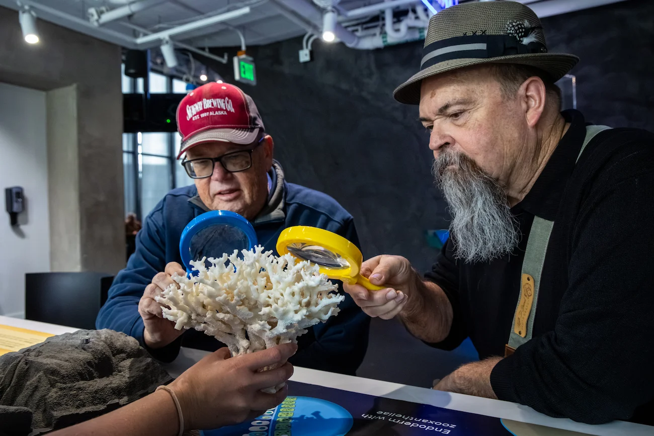 Two adults looking closely at coral using magnifying glasses at the Seattle Aquarium's Discovery Lab.